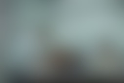 Фотография квеста Пролетая над гнездом кукушки от компании LOST (Фото 1)