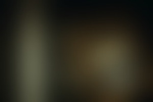 Фотография квеста Элизиум от компании Взаперти.com (Фото 4)